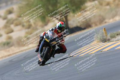 media/May-14-2023-SoCal Trackdays (Sun) [[024eb53b40]]/Turn 5 Tree of Life (1125am)/